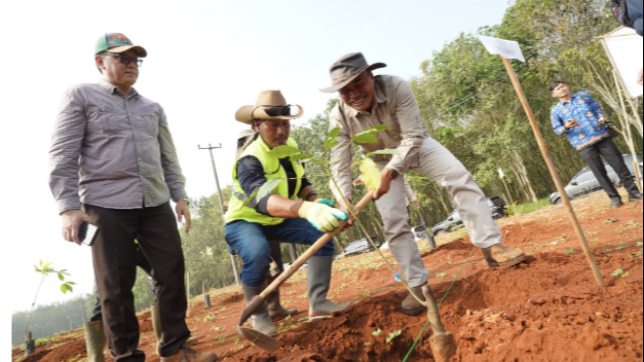 West Java Provincial Government Revitalises Jalupang Rubber Plantation in Subang, 4,200 Trees Planted