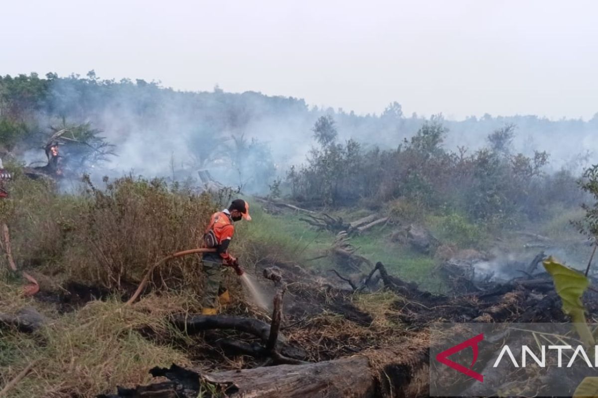 Muara Enim Disaster Management Agency reports 423.5 hectares of land burnt until September