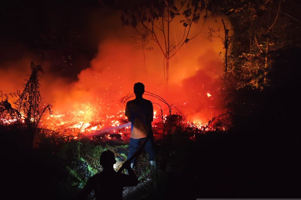 Celios: Forest Fire Mitigation Crucial to Prevent Economic Losses