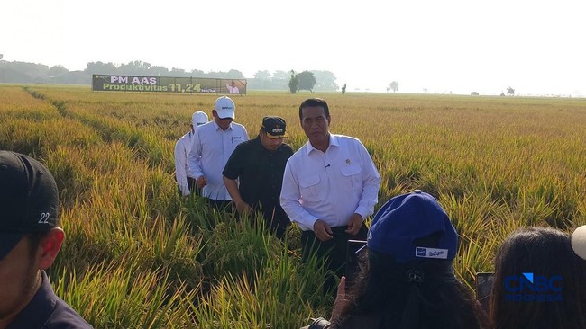 Amran Unveils New Strategy to Boost Rice Production, Aiming to Increase Farmer Prosperity