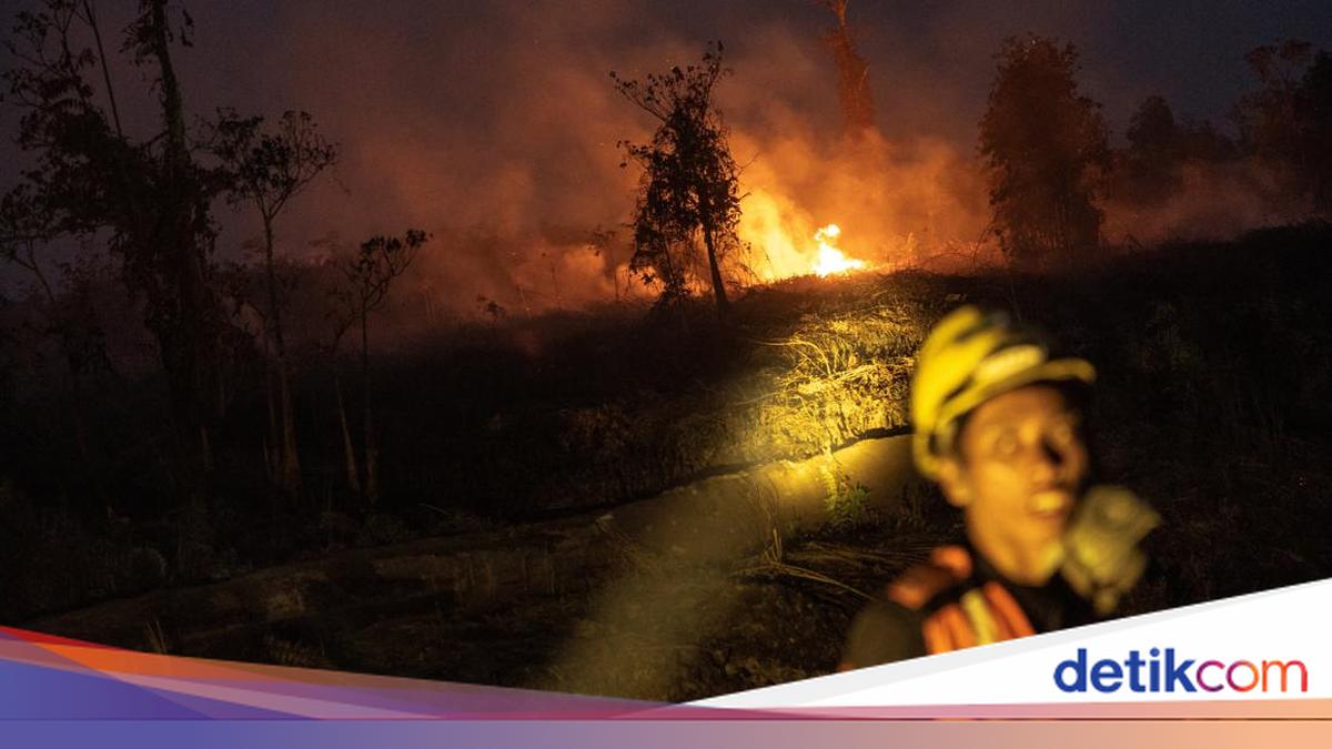 Central Kalimantan Health Office on Child's Death: Not Directly Caused by Smoke and ARI