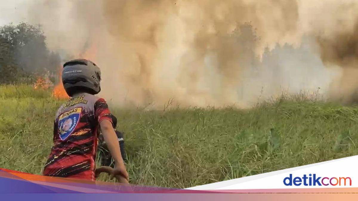 Forest Fires and the Test of Geographical Intelligence