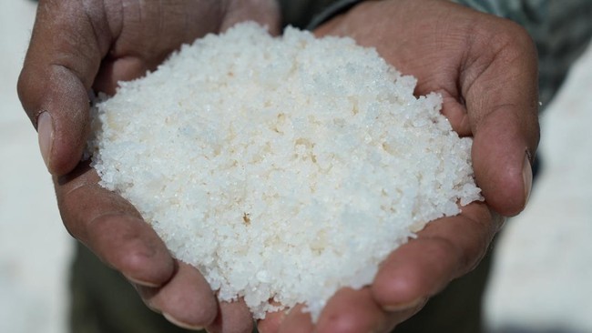 Government Targets End to Salt Imports by 2029