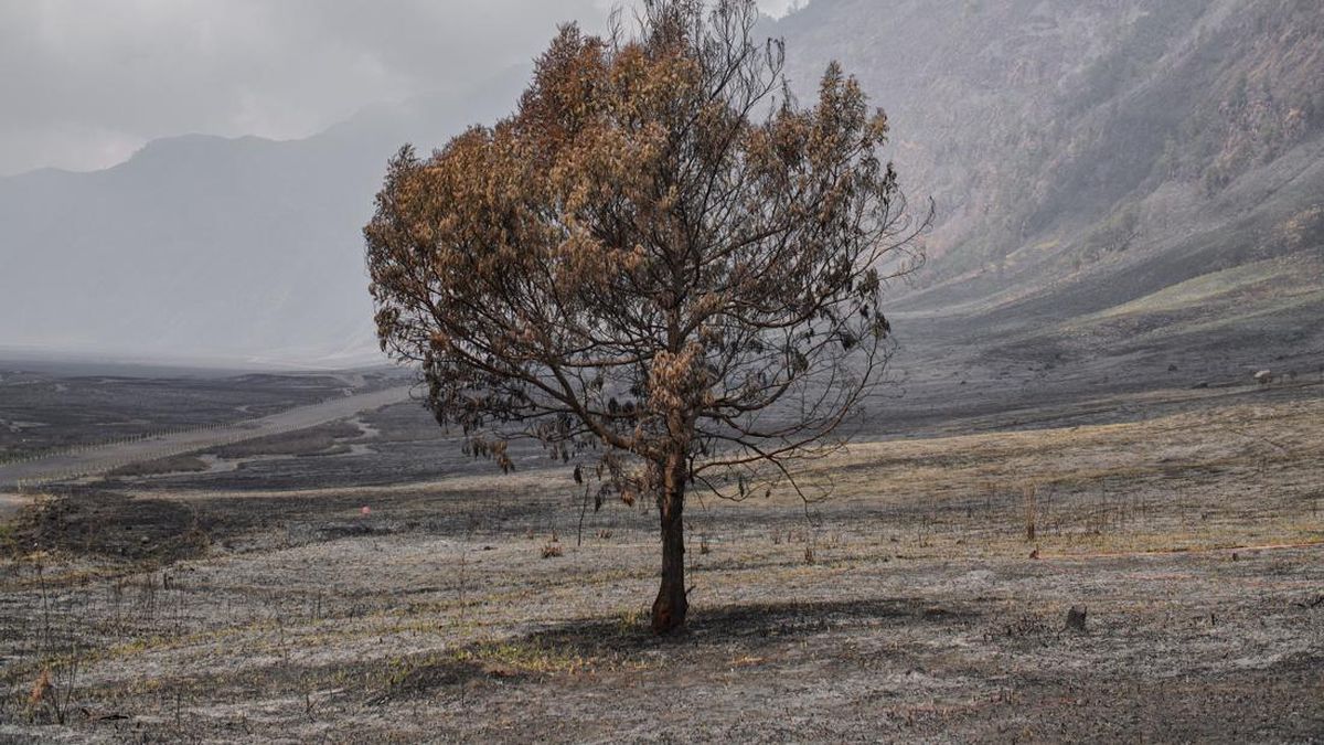 East Java Regional Police Strengthen Forest and Land Fire Prevention Measures