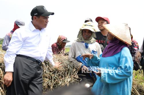Amran Prepares Seed Subsidies to Boost Rice Production via New Method