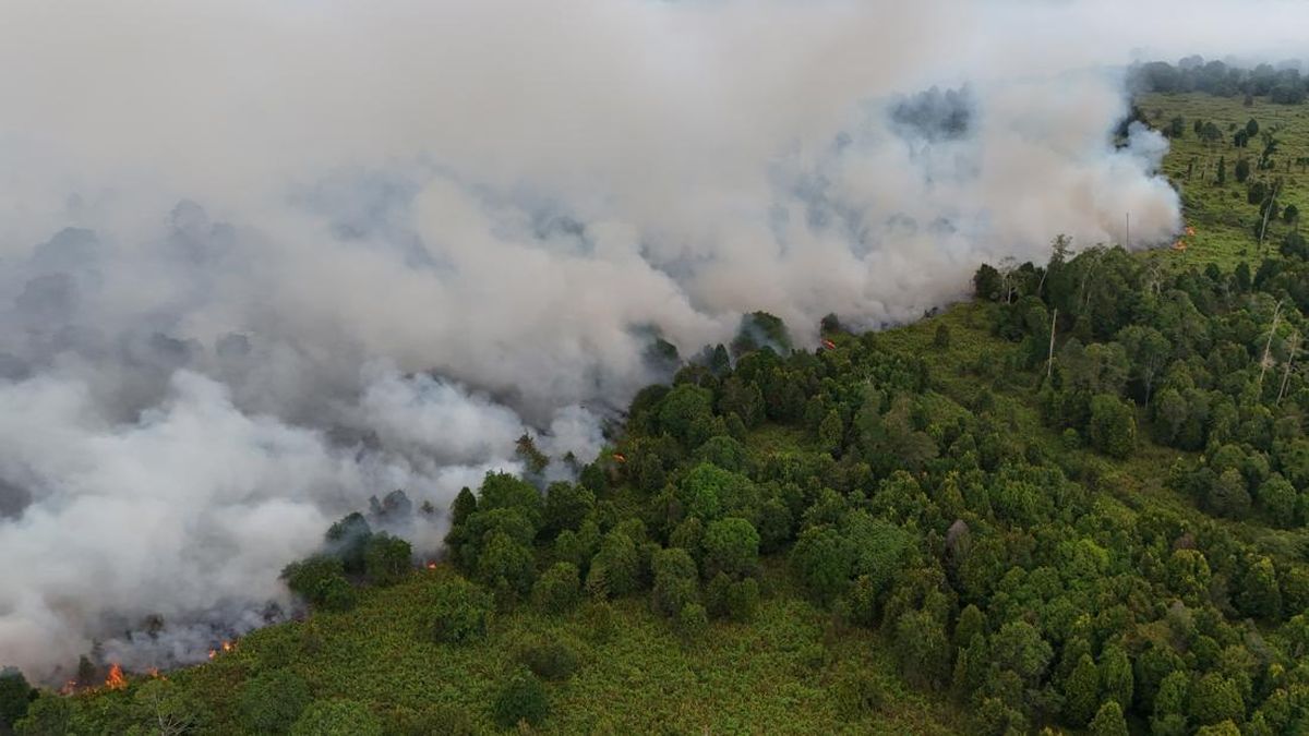 Mount Lakawan in Enrekang on Fire, Officials Struggle to Extinguish Flames