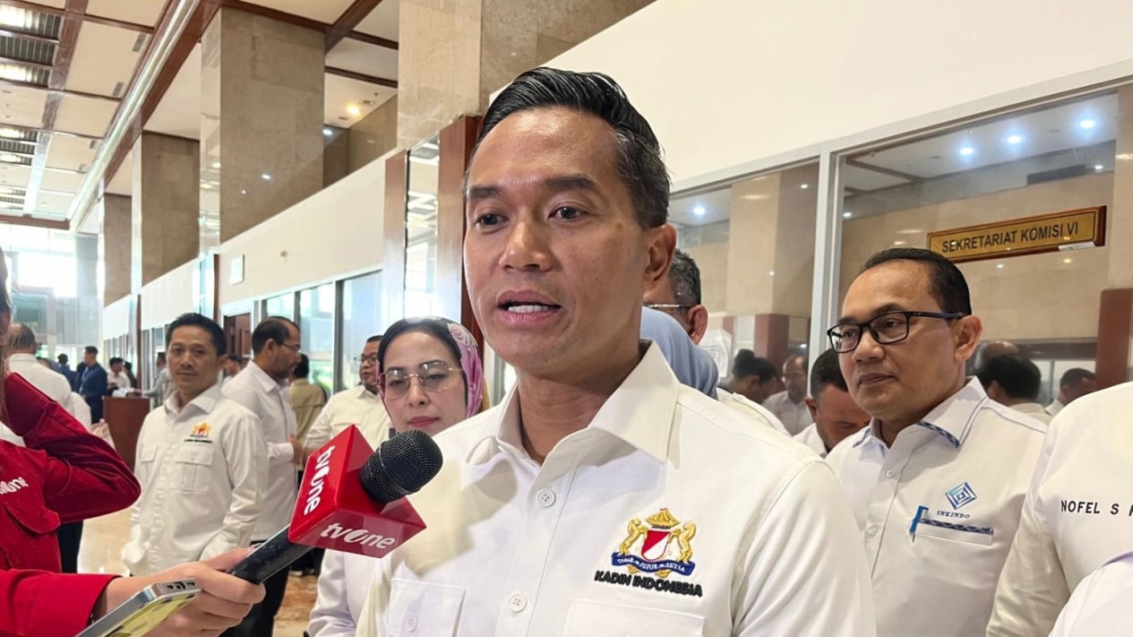 Kadin Bill Under Discussion, Anindya Bakrie: To Elevate Regional MSMEs