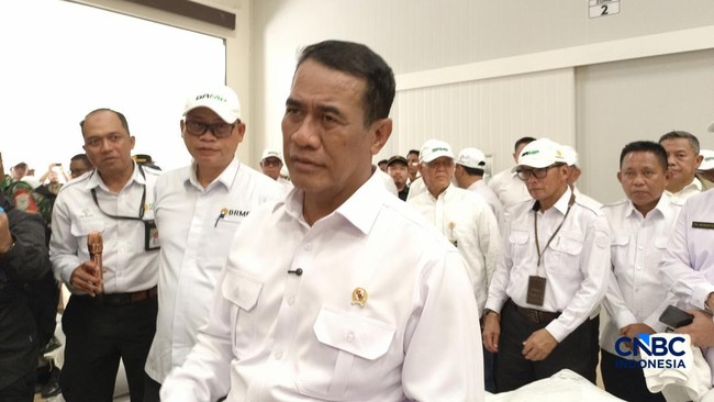 BPS Forecasts Decline in Indonesian Rice Production This Year; Amran's Response Unexpected