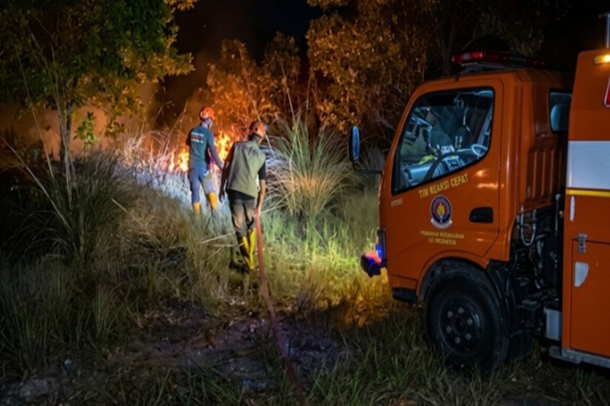Forest and Land Fires in Banjarbaru Cover 1,263 Hectares Despite Decrease in Hotspots