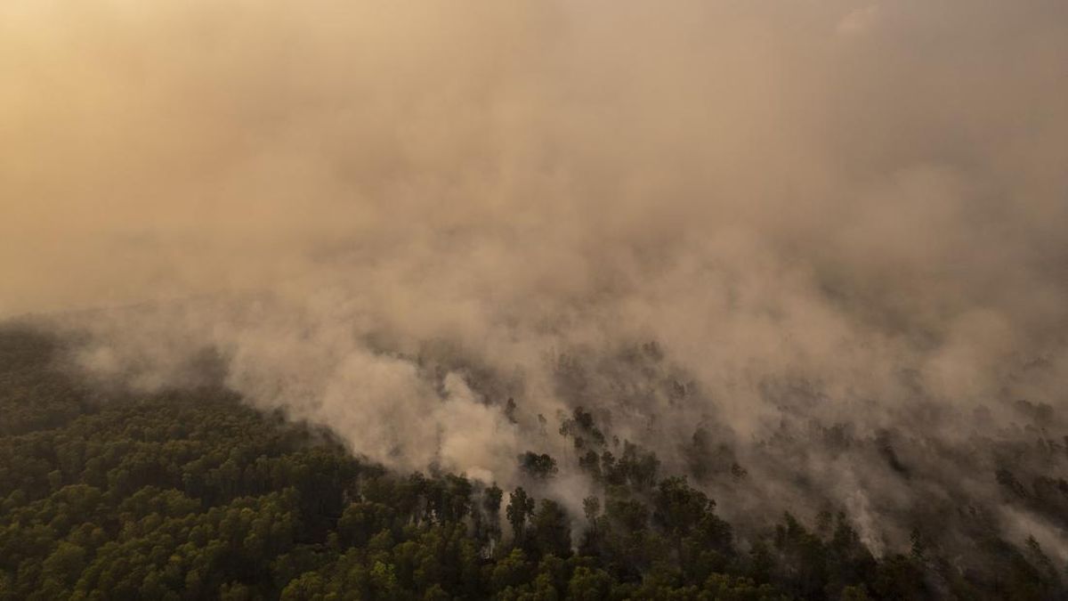 Schools in Natuna Implement Distance Learning Due to Haze from Kalimantan Forest Fires