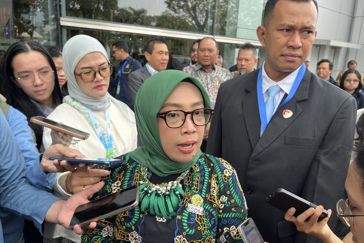 ESDM Committed to Protecting Cultural Heritage Sites During Ungaran Geothermal Plant Development