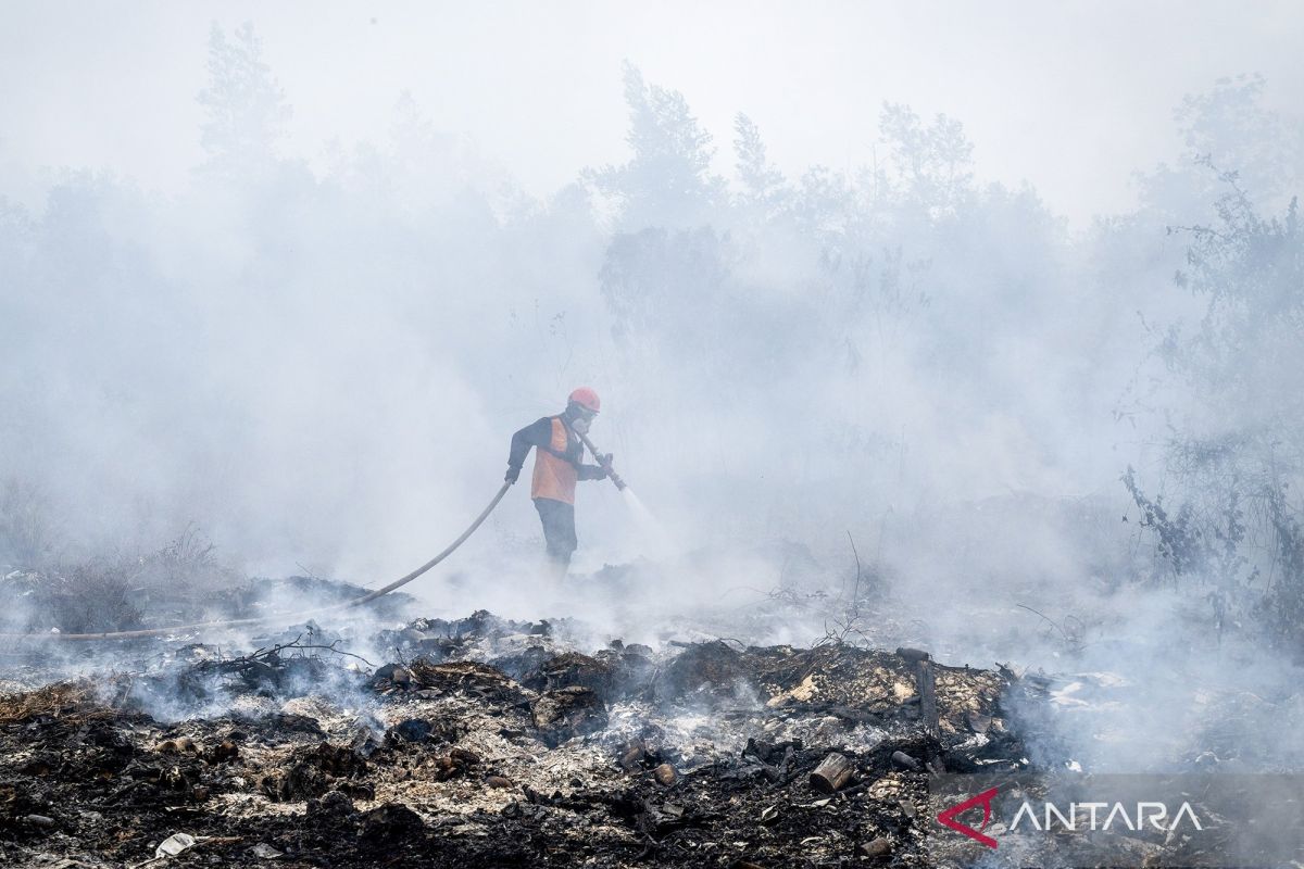 BNPB: Weather Modification Operations in Central Kalimantan Have Yet to Produce Rain