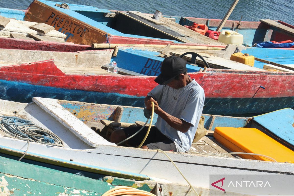 BNPB: Ngada Fishermen Resume Activities Following M7.7 Flores Earthquake