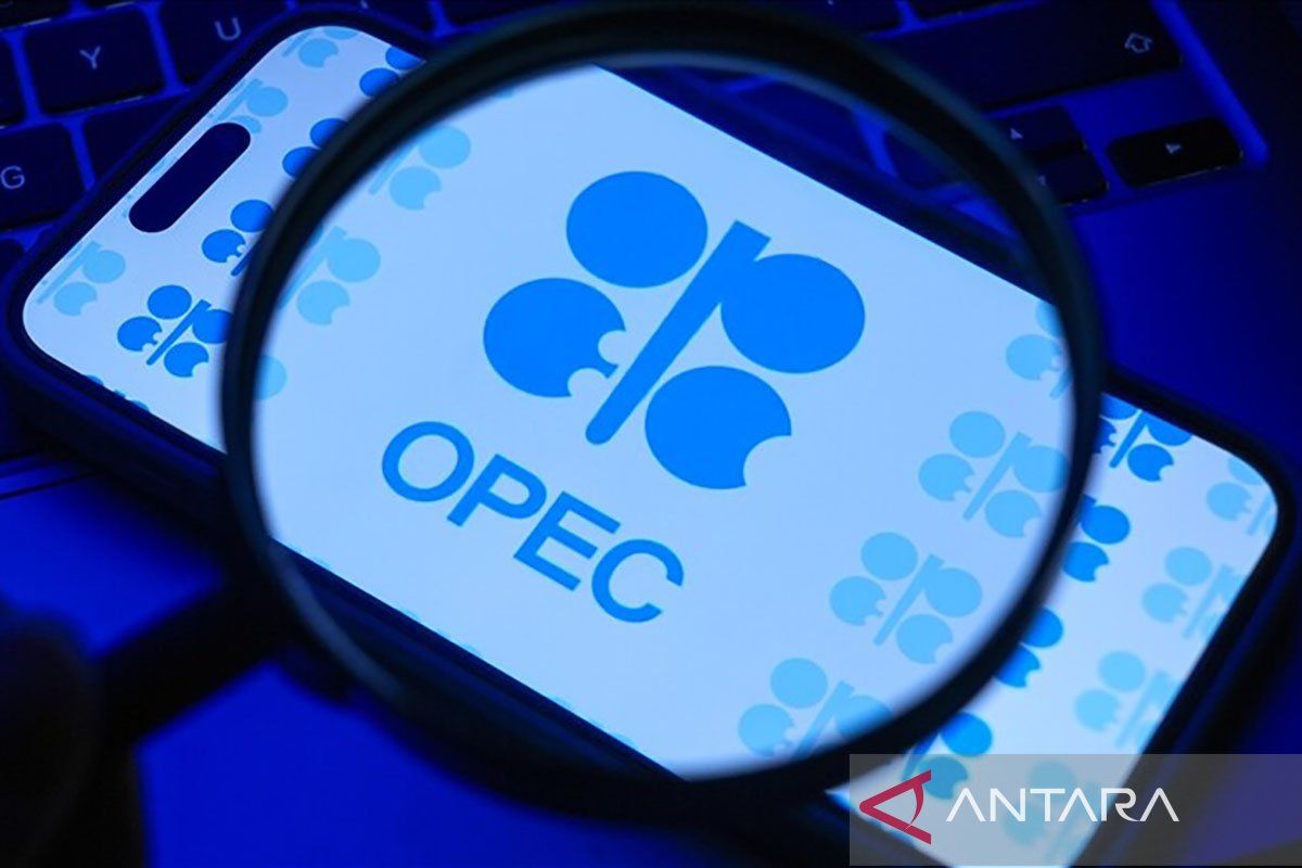 OPEC+ will not reduce oil production as global demand recovers