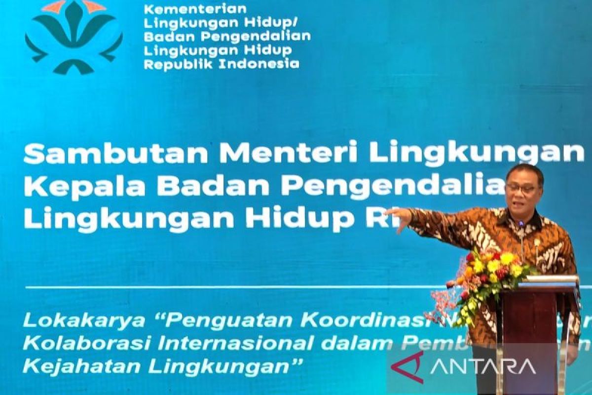 Government partners with Interpol to investigate environmental crimes
