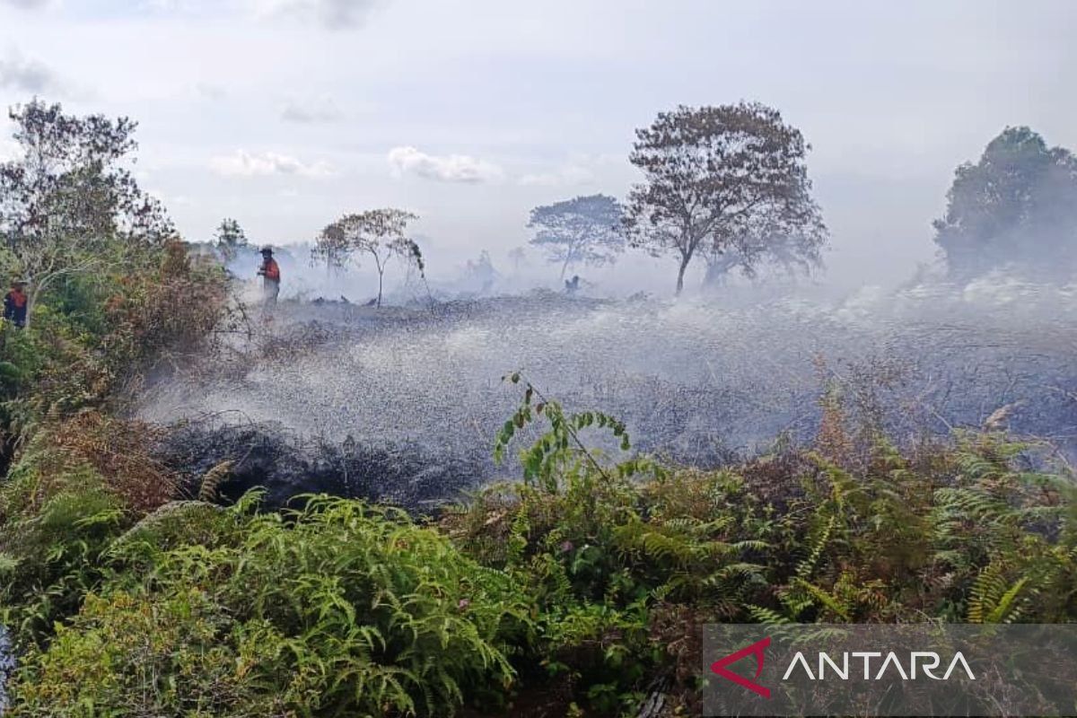 BPBD: Forest and Land Fires Spread Across Three Districts in West Aceh, Reaching 9.6 Hectares