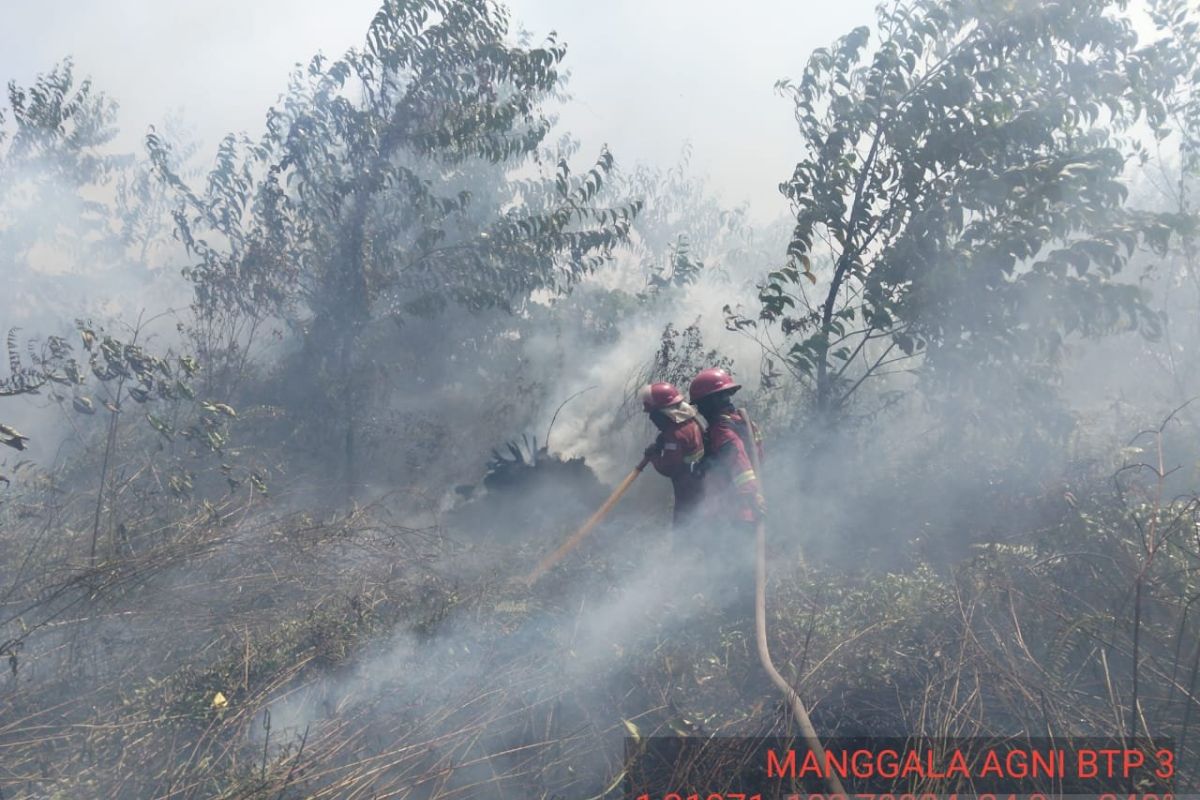 BPBD: Burned Land Area in Batang Hari Reaches 479.48 Hectares
