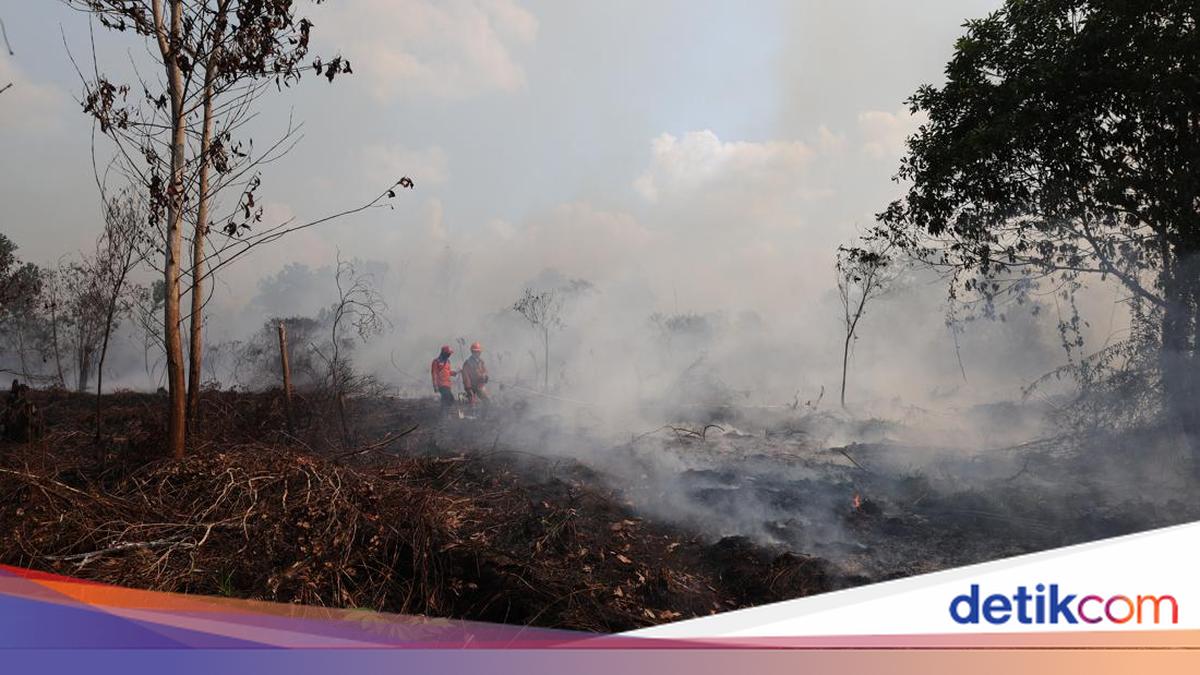 Air Quality in West Kalimantan Remains Dangerous, Visibility Below 1 km