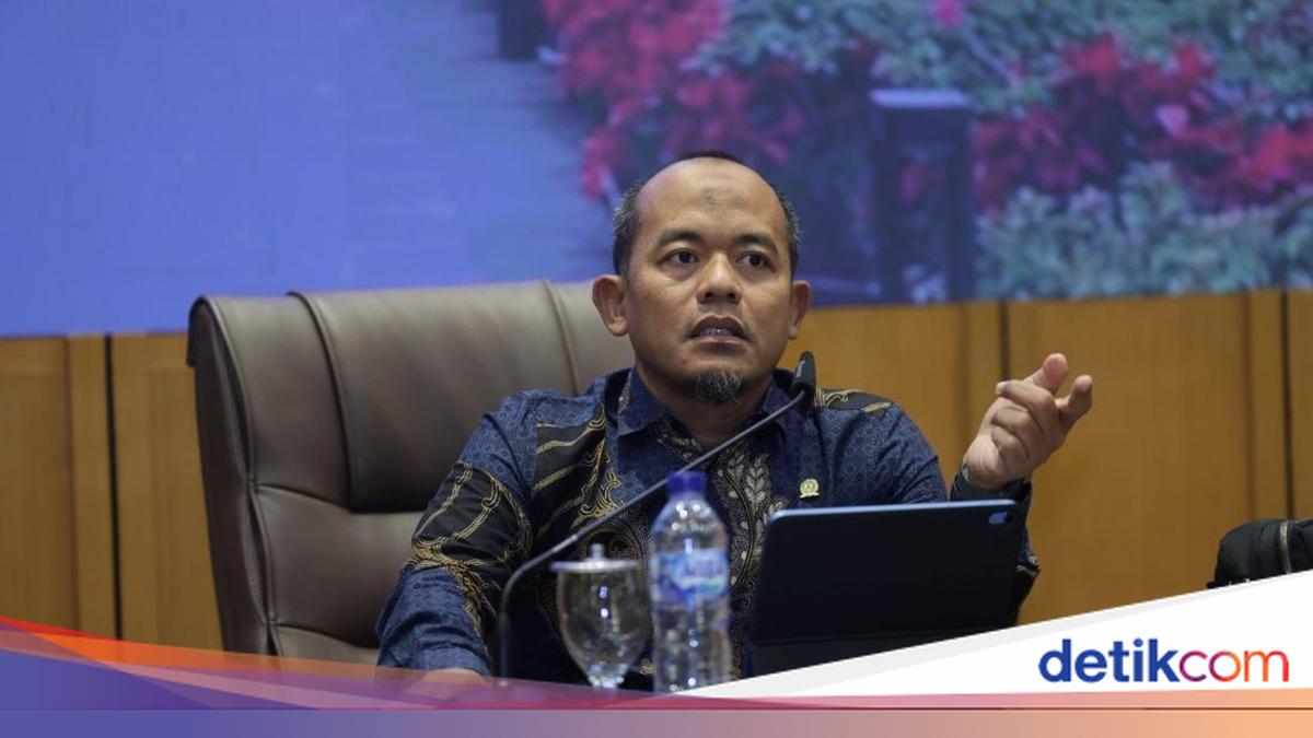 Forest Fire Threats Predicted to Peak in 2027, DPR Urges Early Mitigation