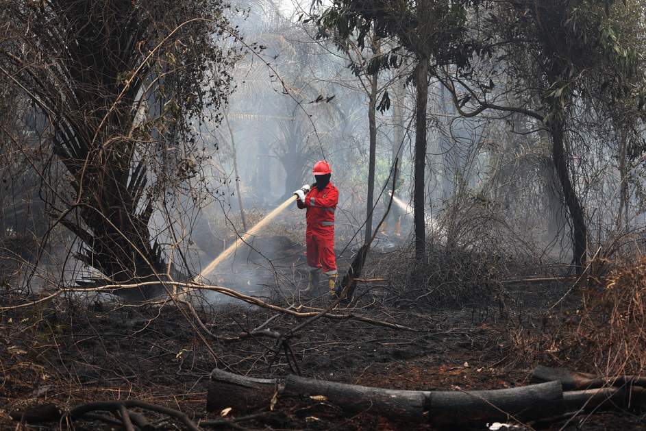 ASEAN Needs to Strengthen Transboundary Forest Fire Haze Management
