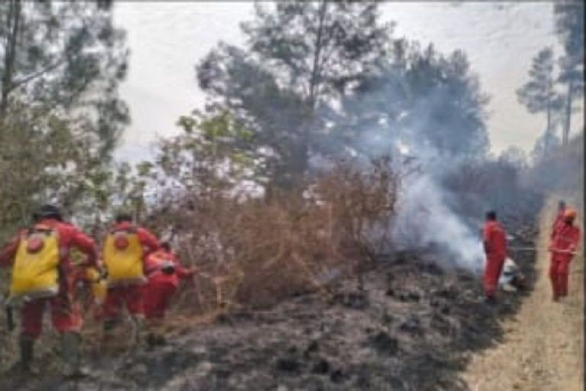 Hoax! Government rejects providing budget for forest and land fire management in Kalimantan