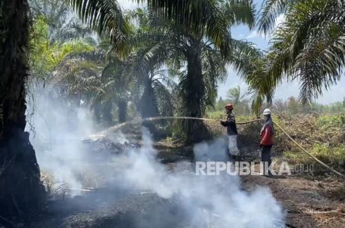 Exploring Ketapang's Peatlands: UI Students Join Local Residents to Prevent Forest Fires