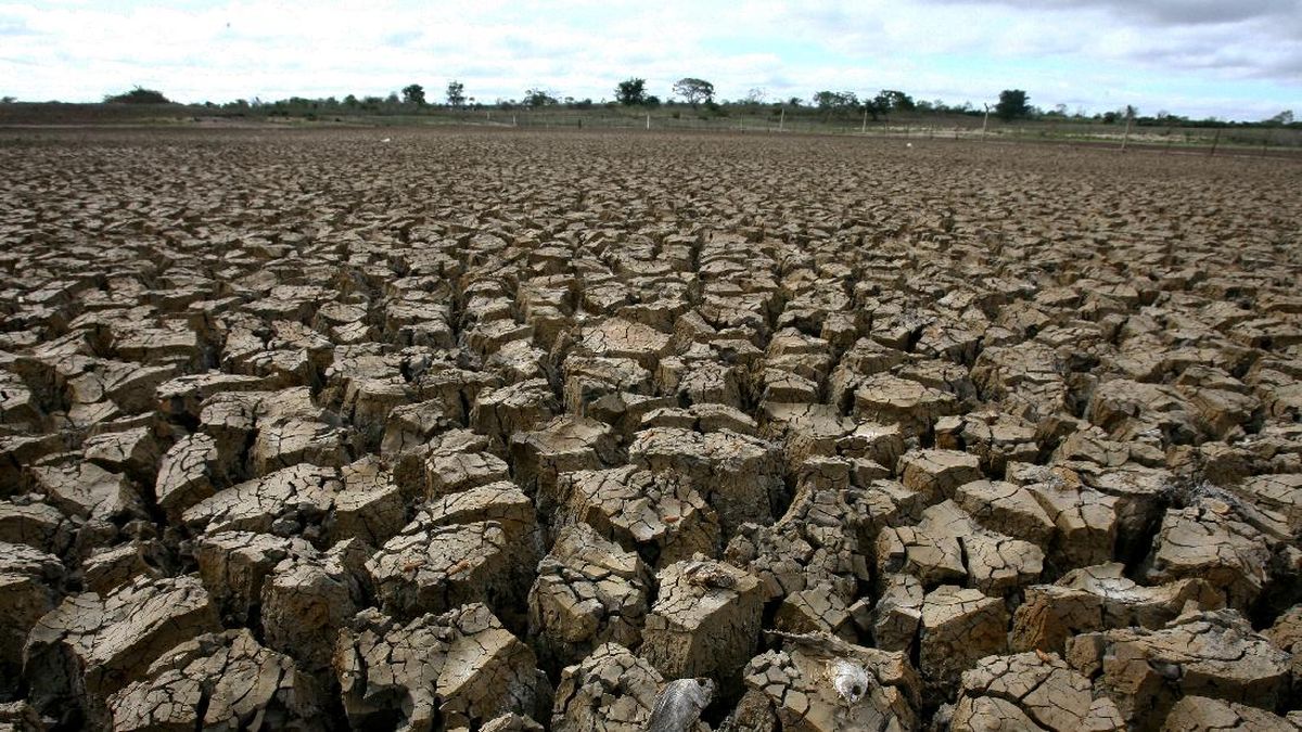 Four Regencies in Bali Affected by Drought