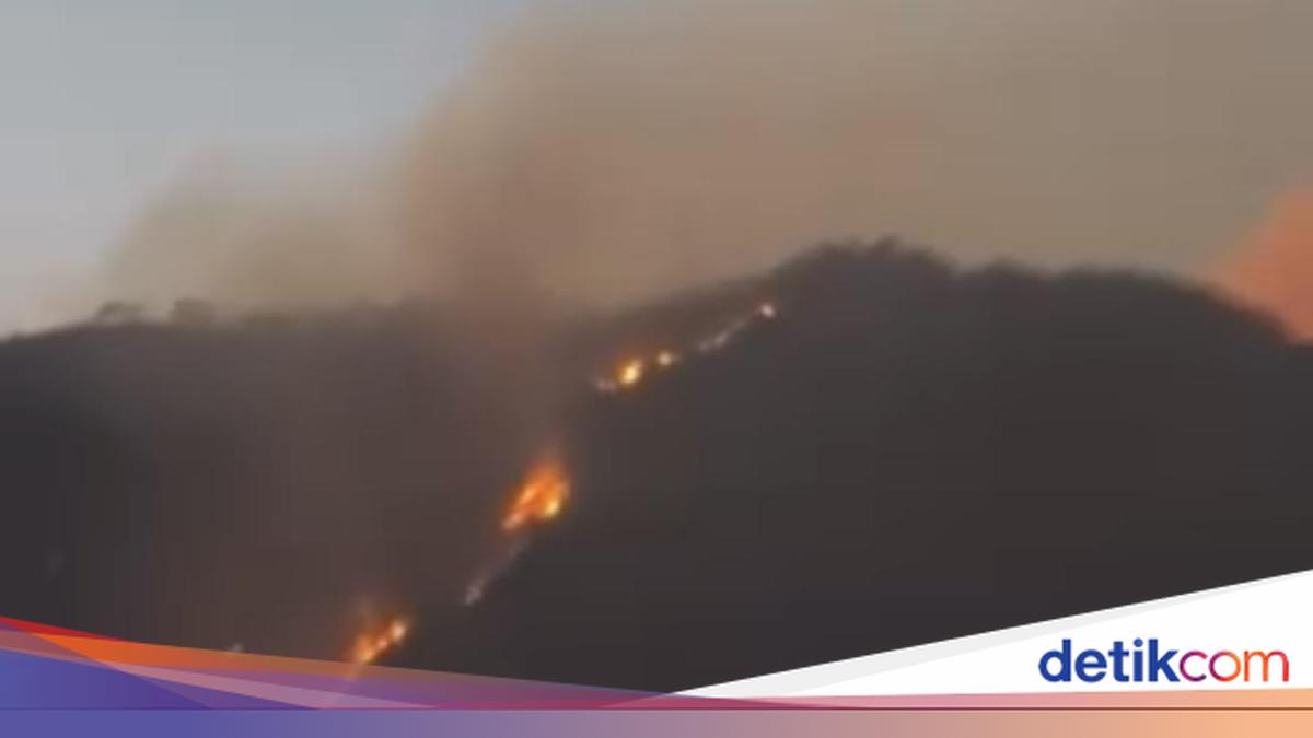Merapi Ungup-ungup Ijen Nature Reserve Hit by Fire