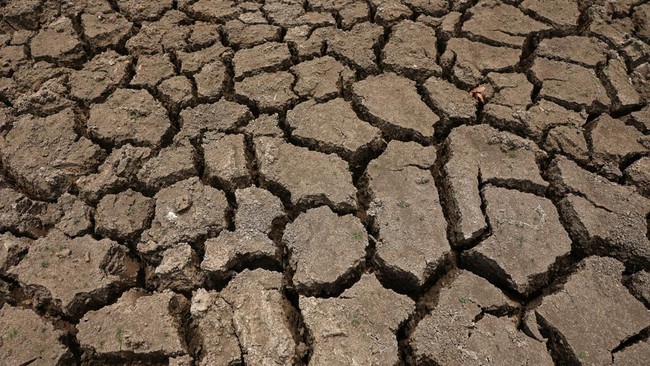 UN Issues Warning of Impending Extraordinary Global Disasters