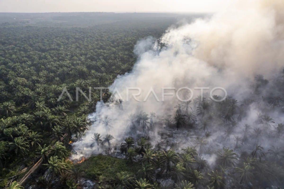 BNPB: Helicopters fly for 15 hours to seed artificial rain in Jambi