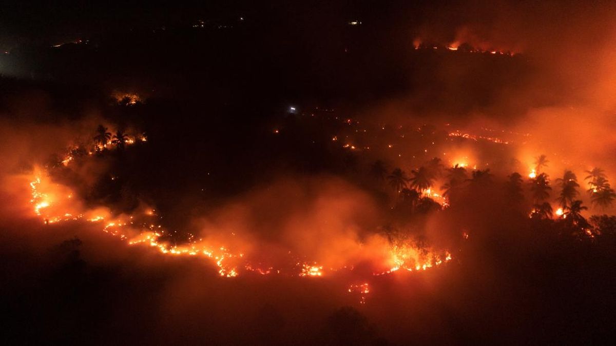 Ijen Mountain Area on Fire, Flames Spread Across Nature Reserve