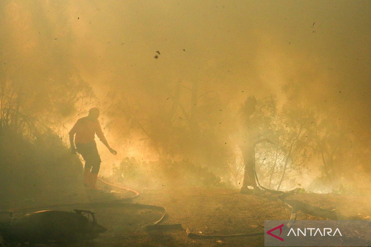 Firefighting efforts underway on Mount Ijen hiking trails