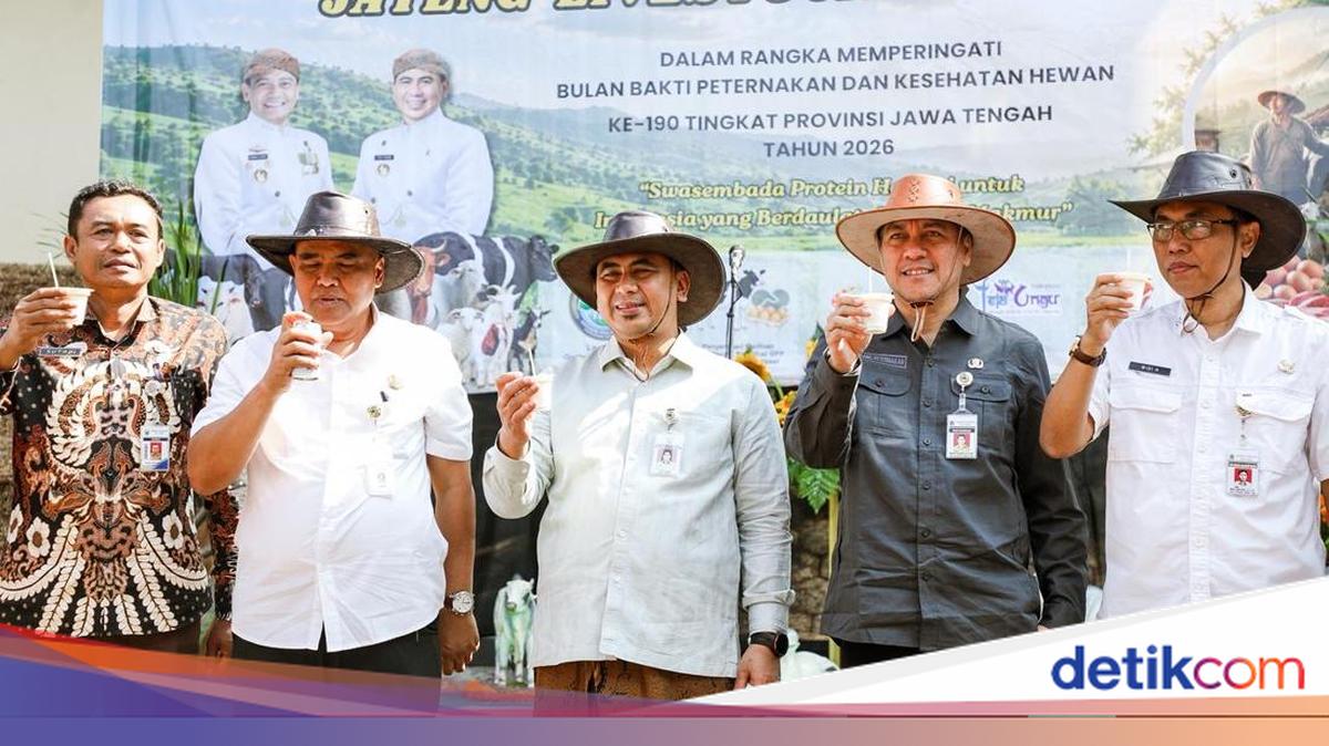 Central Java Relies on Artificial Insemination to Boost Milk Production