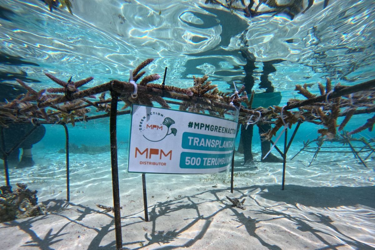 MPMX Inaugurates Coral Reef Transplantation Programme on Messah Island