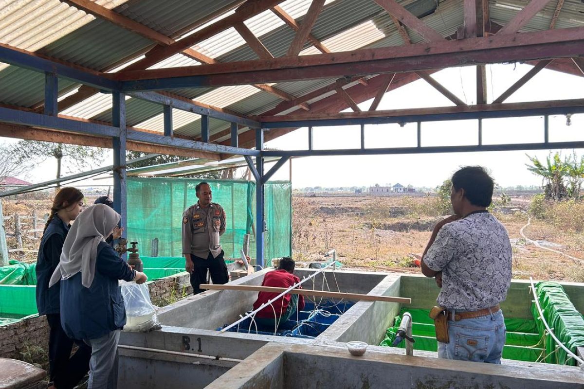 IPB Expedition Team Develops Alternative Feed and Catfish Floss in Salor