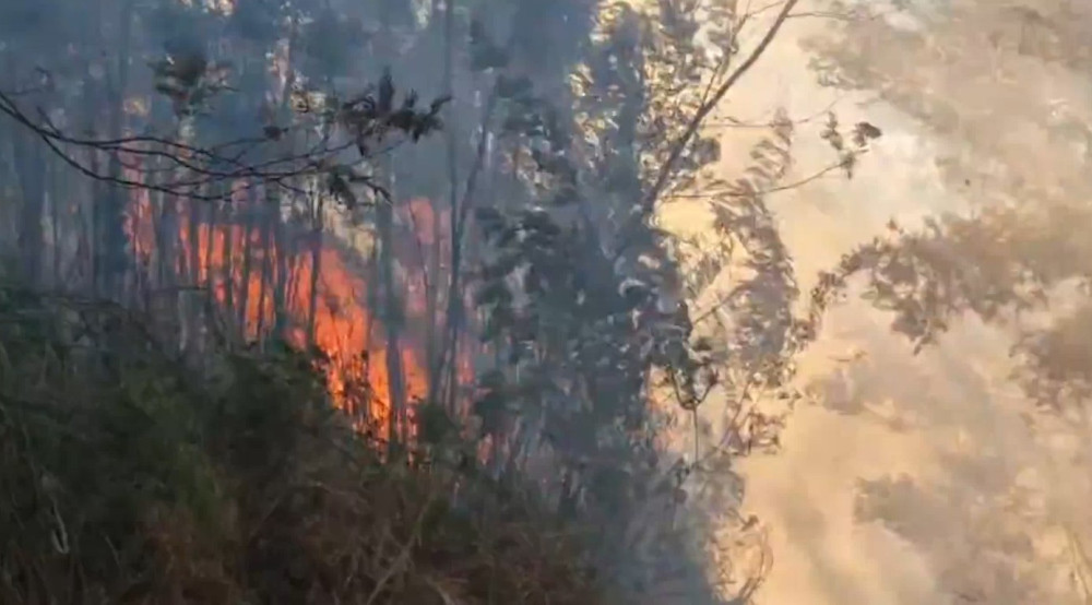 Forest fires expand on mountain slopes, Ijen Crater Nature Tourism Park closed