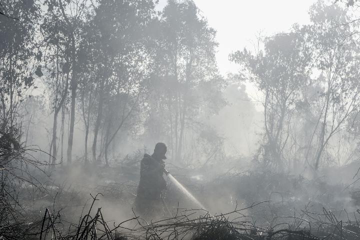 Indonesia Names 112 Suspects in Forest Fire Cases