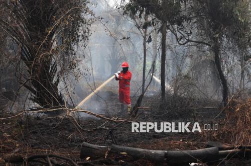 NASA Reveals Why Forest Fires in Indonesia are Difficult to Extinguish