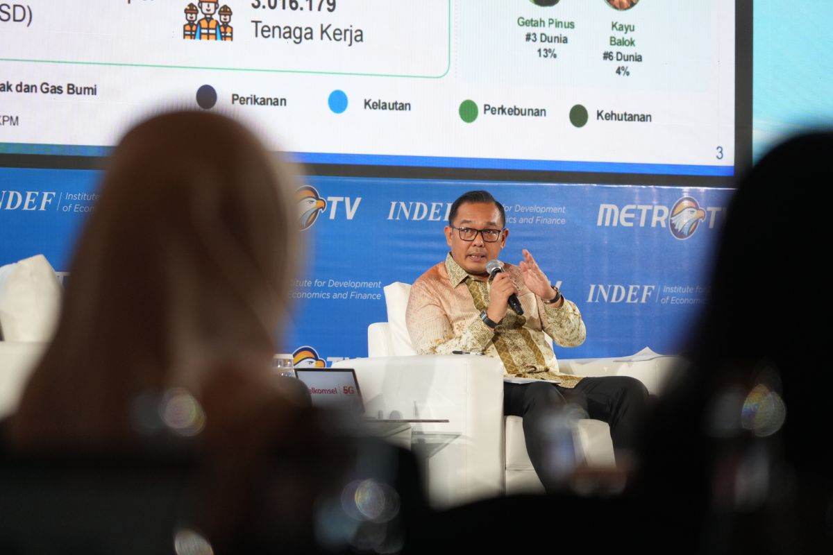 Deputy Investment Minister states that providing incentives is a key strategy for downstreaming