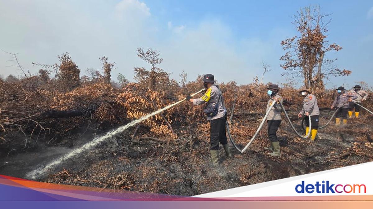 20 Hectares of Forest Fire in Inhil Extinguished, Joint Team Continues Cooling Process