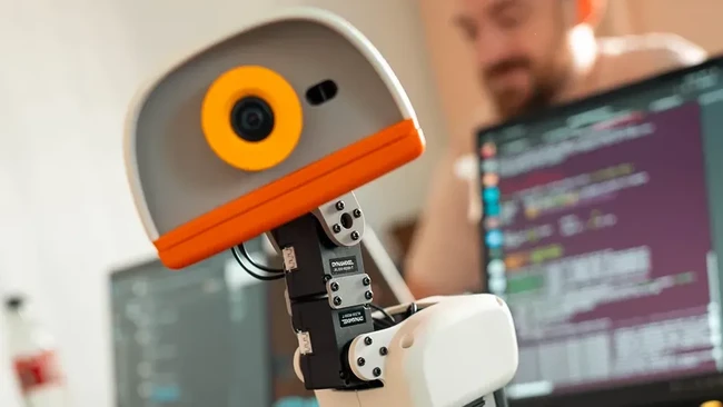Latest Tech Trend: French AI Duck Powered by Chinese Hardware Sells Rapidly