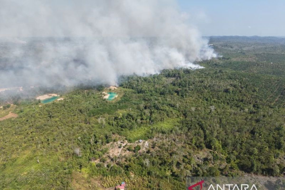 Indonesia's Air Force deploys Caracal to fight Nusantara's wildfire