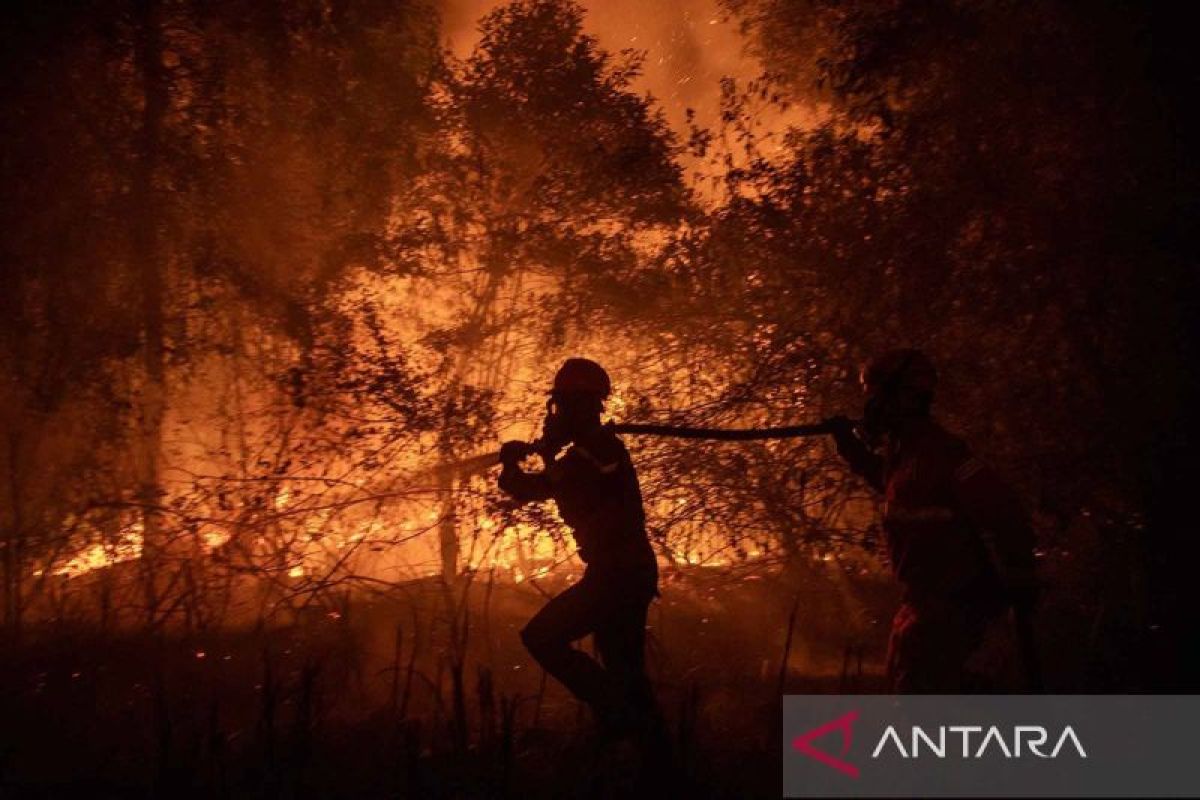 Fact Check: Photos of Jokowi Visiting Forest Fire Sites in September 2026