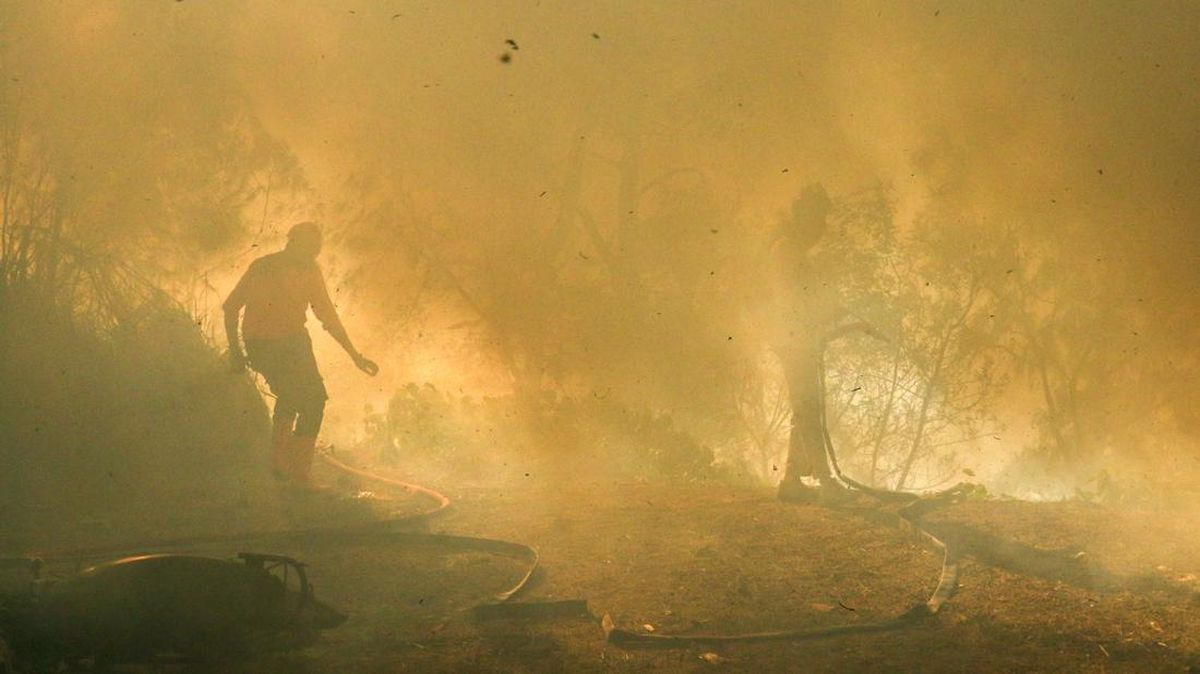 Forest Fires at Mount Merapi Ungup-Ungup Devastate 20 Hectares of Ijen Crater Nature Tourism Area