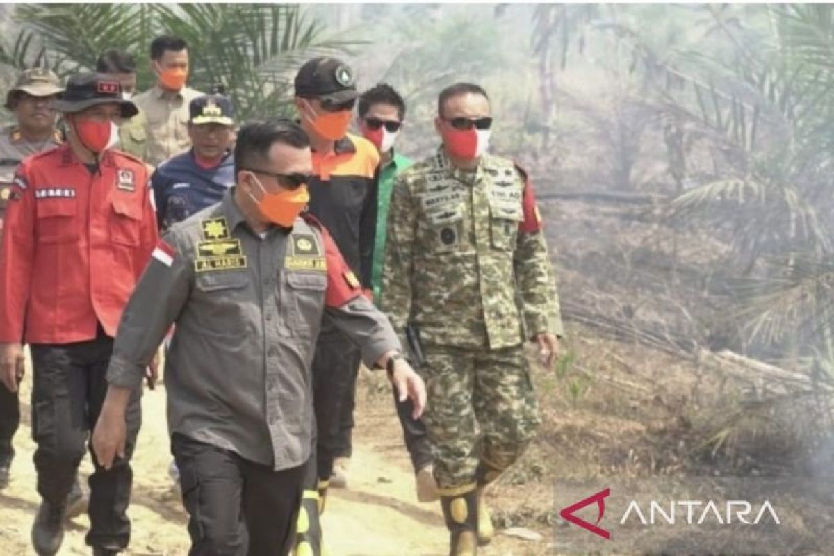 Jambi deploys two helicopters as forest park fires burn 6 hectares