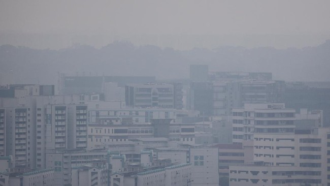 Indonesian Forest Fire Smoke Envelops Singapore, Residents on Alert