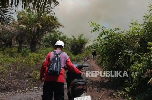 Trapped by Peatland Fires in Ketapang: UI Students Nearly Unable to Return