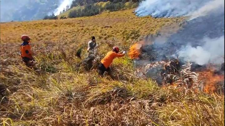 BNPB: Forest Fires Hit 5 Mountain Areas in East Java