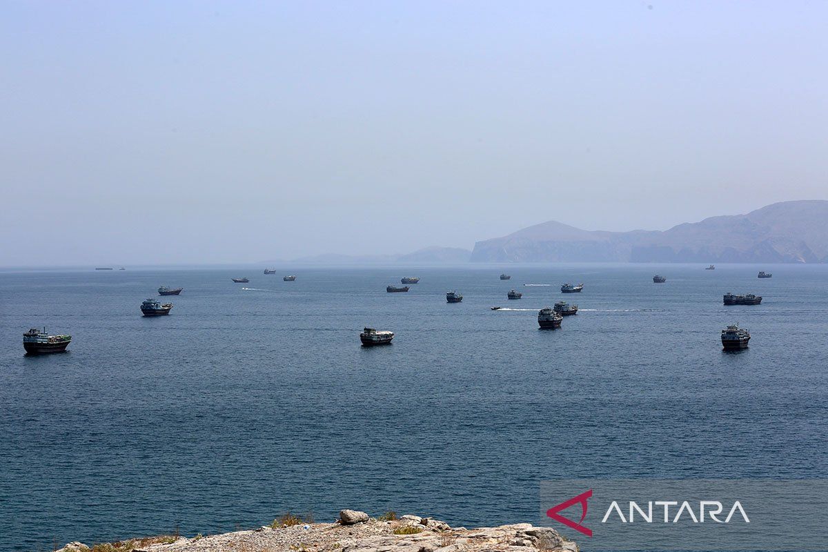 Turkish Expert: Syrian Pipeline Cannot Replace the Role of Hormuz
