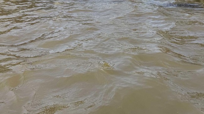China Devastated by Massive Floods, 2 Million Dead—Economic Hubs Paralysed